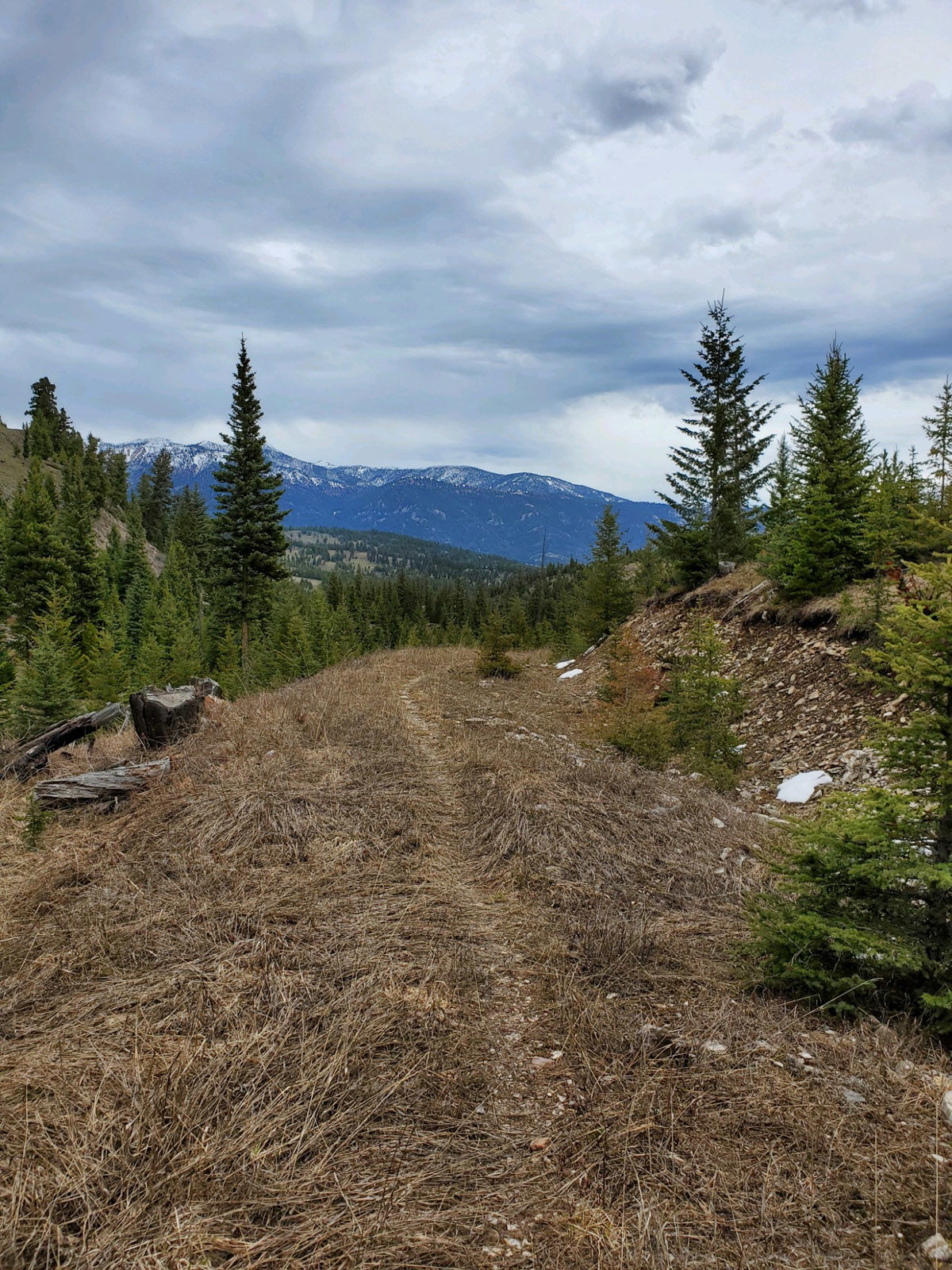 Trail